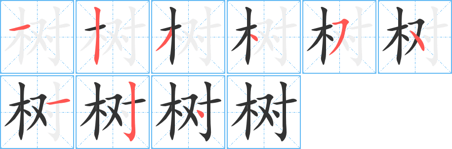 树的笔顺分步图示