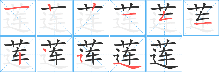 莲的笔顺分步图示