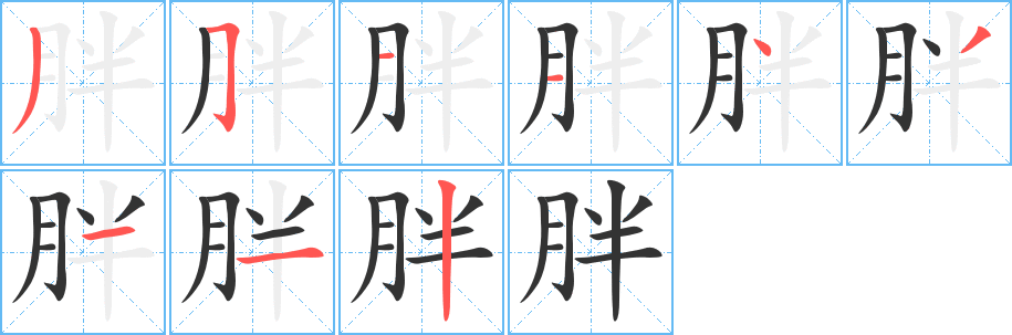 胖的笔顺分步图示