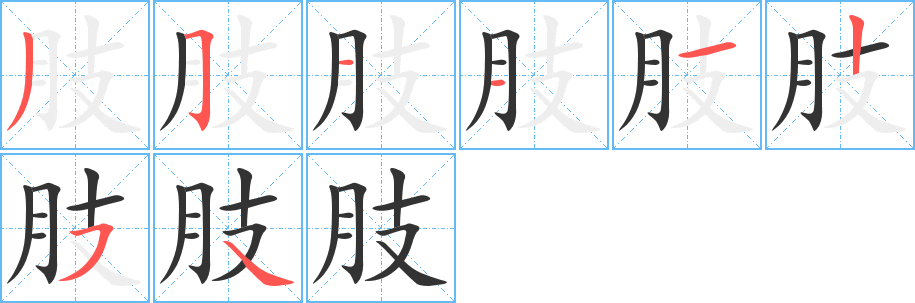 肢的笔顺分步图示