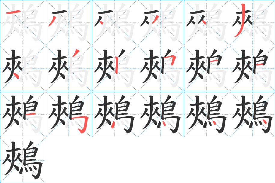 鵊的笔顺分步图示
