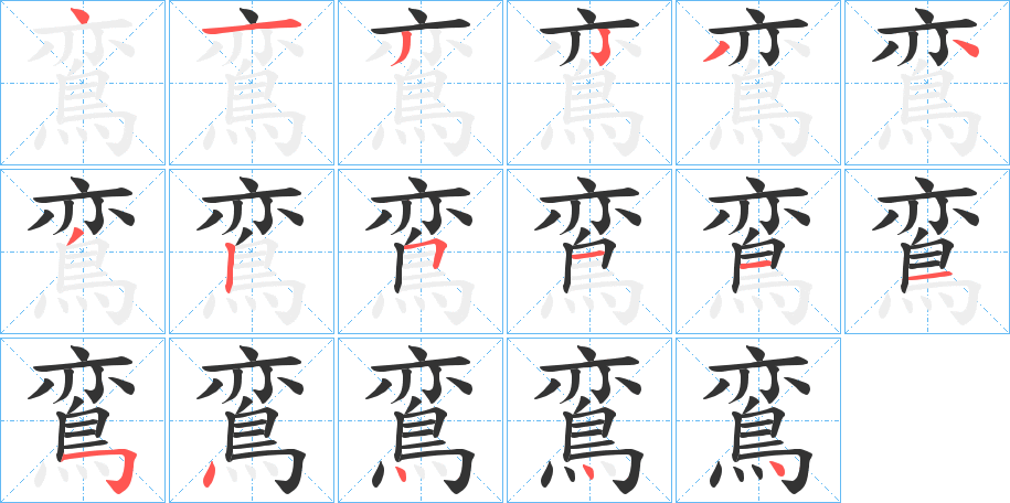 鵉的笔顺分步图示