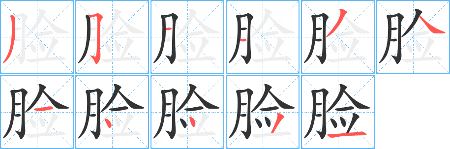 脸的笔顺分步图示