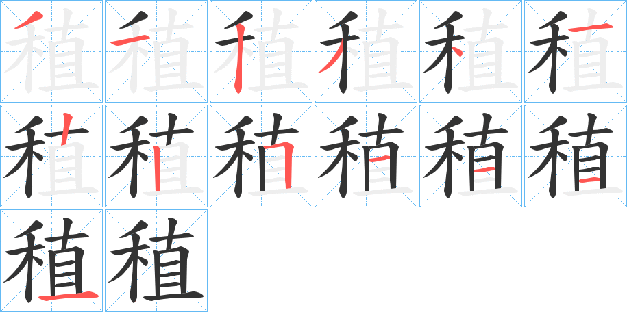 稙的笔顺分步图示