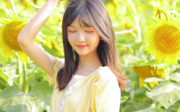 繁花落尽，与你再见,林梦寒贺云卿精彩小说